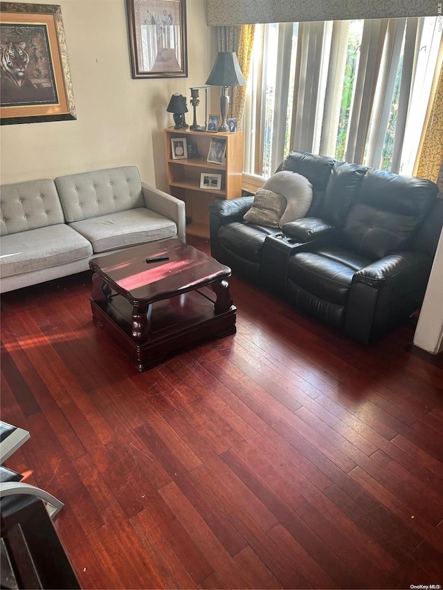 living room with wood-type flooring