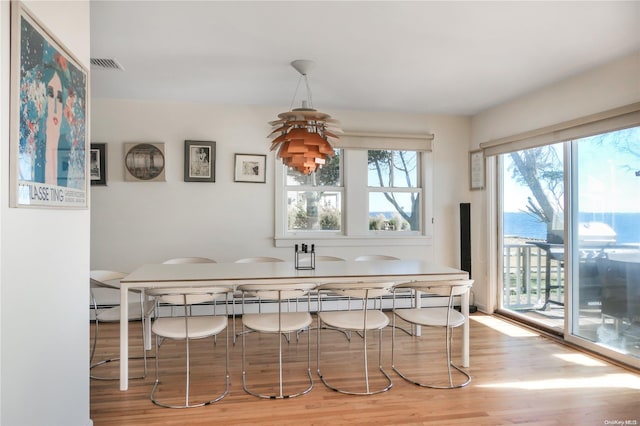 dining space with plenty of natural light, a water view, and wood-type flooring