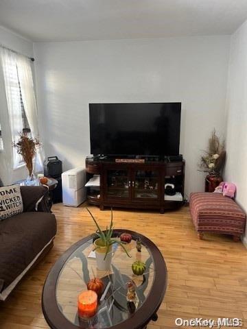 living room featuring hardwood / wood-style floors