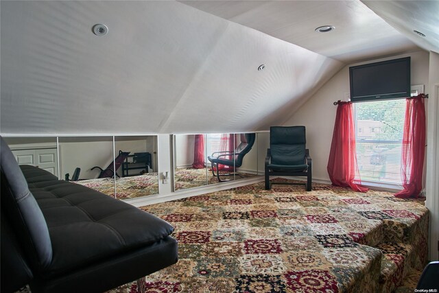 bedroom with lofted ceiling