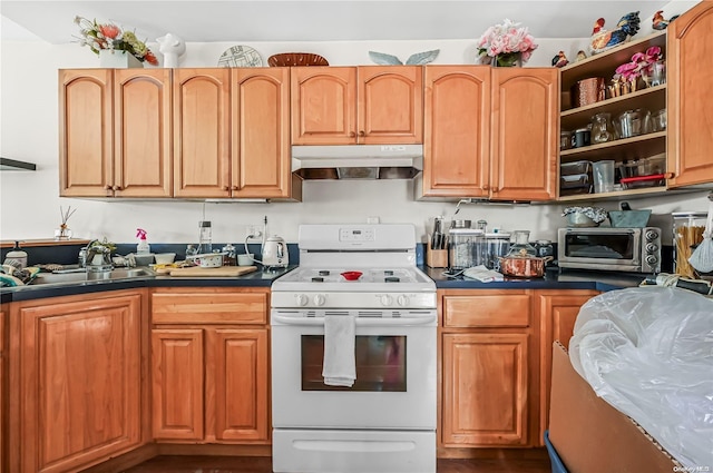 kitchen with sink and white range