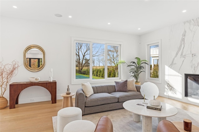 living room featuring light hardwood / wood-style floors and a wealth of natural light