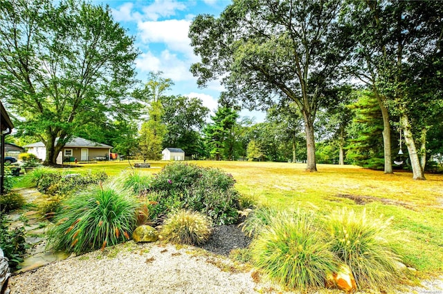 view of yard with a storage shed