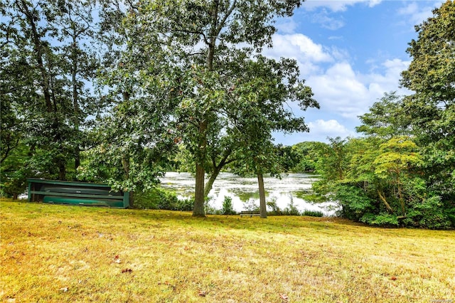 view of yard with a water view