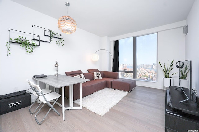 living room with hardwood / wood-style flooring