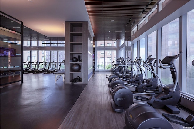 exercise room featuring dark hardwood / wood-style flooring and a wall of windows