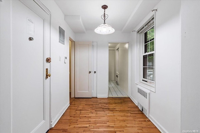 corridor featuring light hardwood / wood-style floors and radiator heating unit