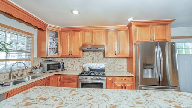 kitchen featuring sink, light stone countertops, stainless steel appliances, and a wealth of natural light