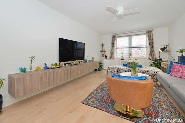 living room featuring ceiling fan and light hardwood / wood-style flooring