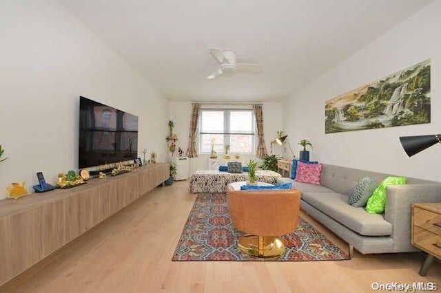 living room featuring ceiling fan and light wood-type flooring