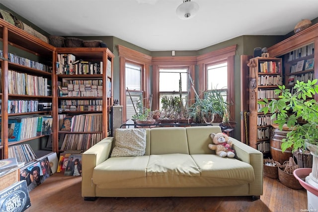 living area with dark hardwood / wood-style flooring