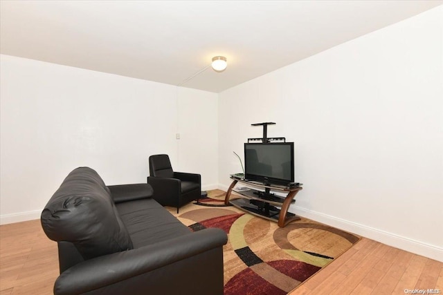 living room featuring light wood-type flooring