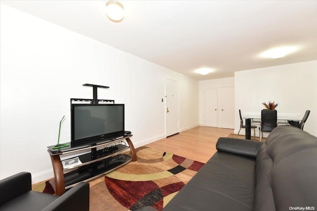 living room featuring light hardwood / wood-style floors