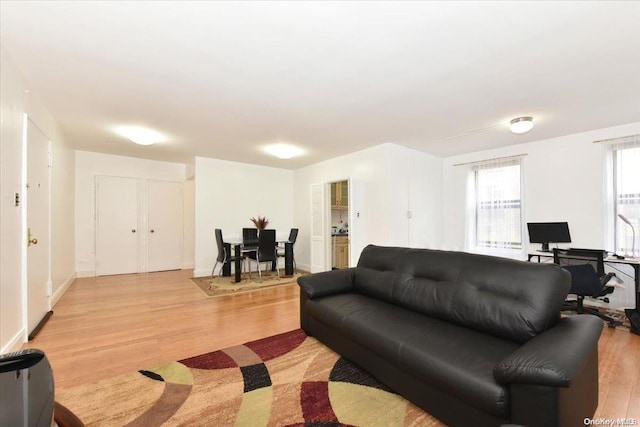 living room featuring light hardwood / wood-style floors