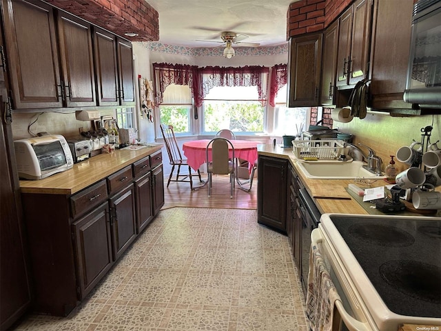 kitchen with ceiling fan, sink, light hardwood / wood-style flooring, dark brown cabinets, and white stove