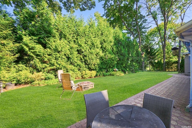 view of yard with a patio