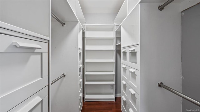 spacious closet featuring dark wood-type flooring