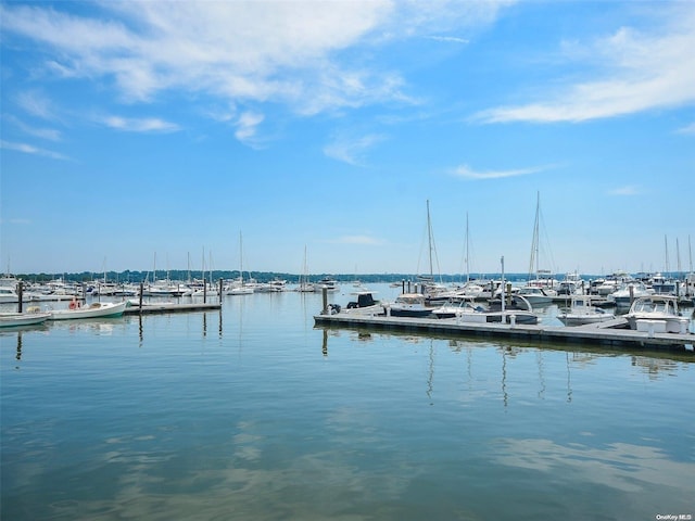 dock area with a water view