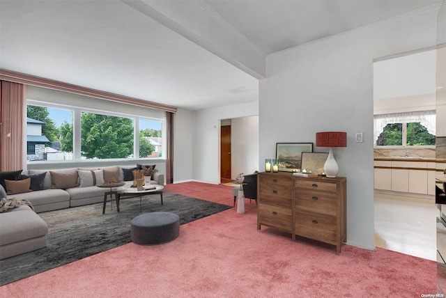 living room featuring sink and light carpet