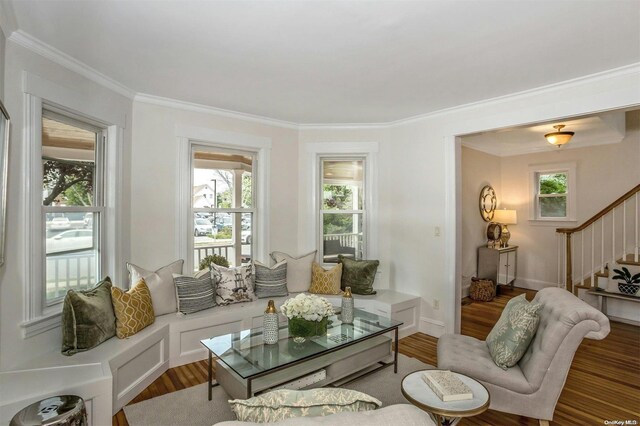 9 N Bayles Ave, Port Washington, NY 11050 - living room featuring crown molding and hardwood / wood-style floors