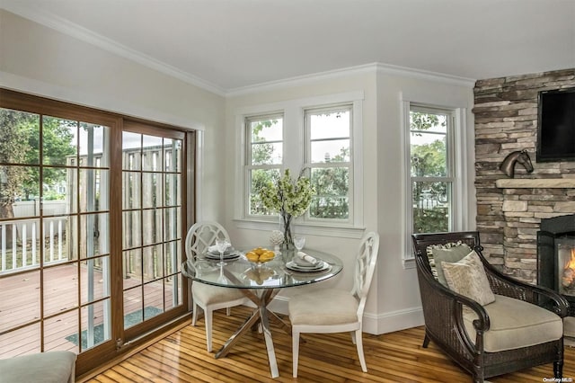 9 N Bayles Ave, Port Washington, NY 11050 - sunroom with a stone fireplace