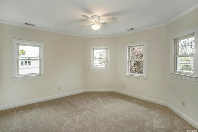 9 N Bayles Ave, Port Washington, NY 11050 - spare room featuring crown molding, light carpet, and a wealth of natural light