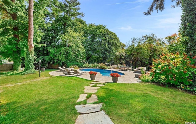 view of swimming pool with a lawn and a patio