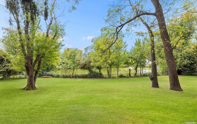 view of yard with a water view