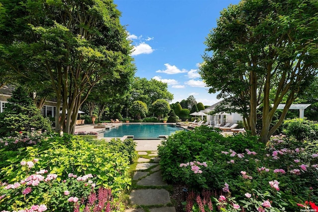 view of swimming pool featuring a patio area