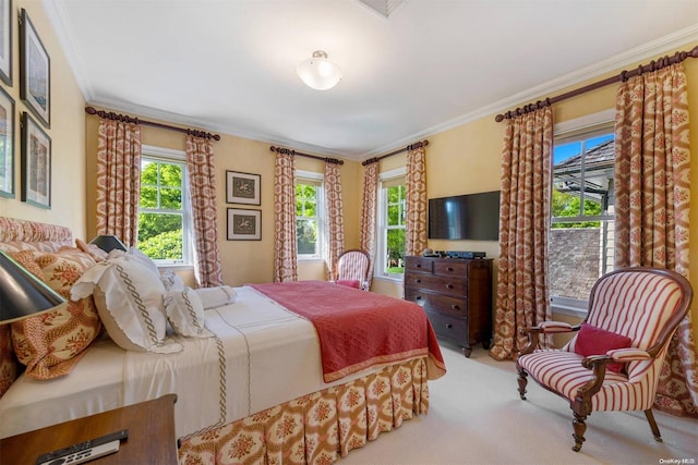 bedroom with carpet floors, multiple windows, and ornamental molding