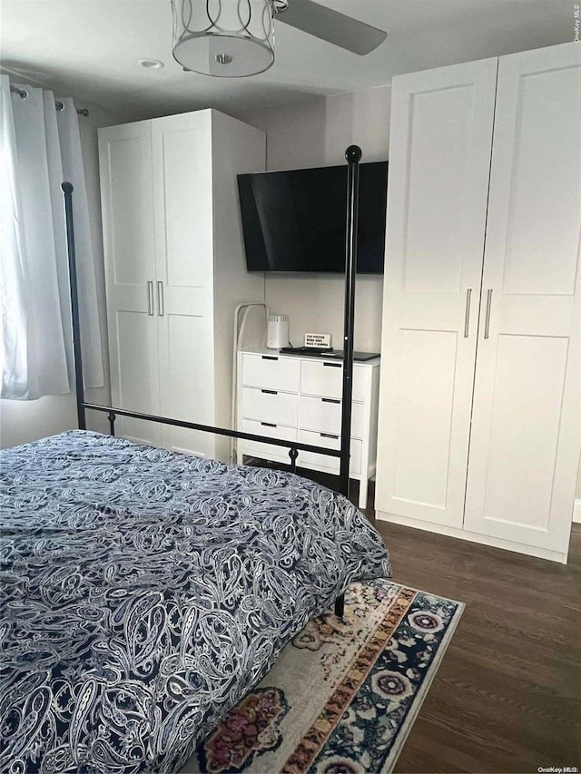 bedroom with dark hardwood / wood-style floors and ceiling fan