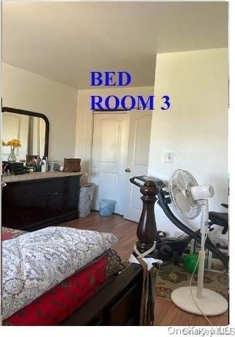 bedroom featuring wood-type flooring