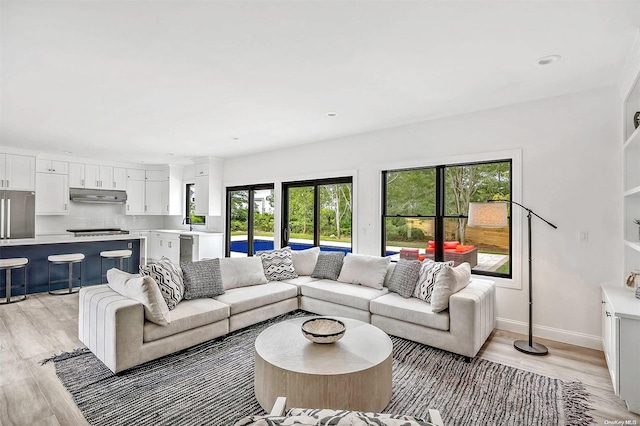 living room featuring light hardwood / wood-style floors