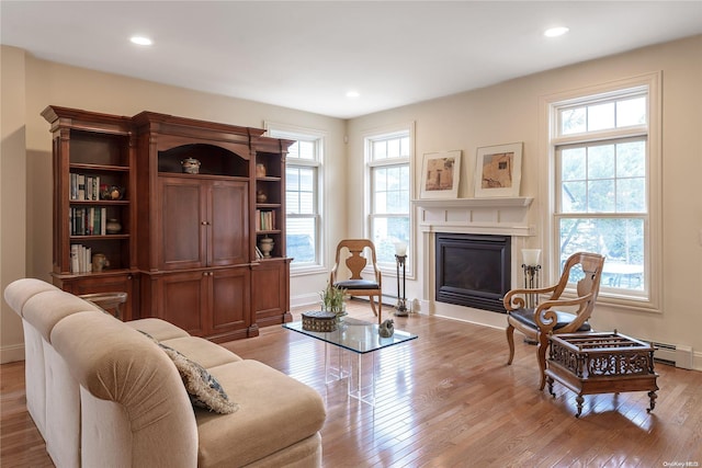 living room with light wood-type flooring and a wealth of natural light