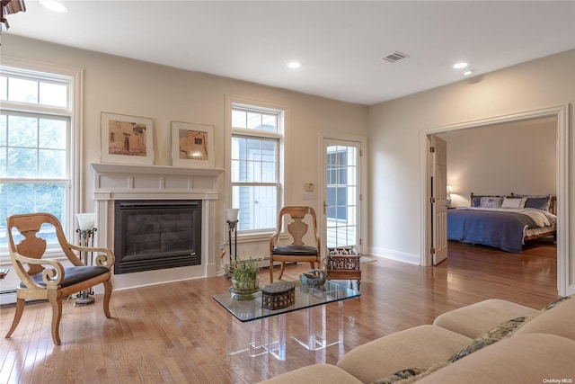 living area featuring wood-type flooring and plenty of natural light