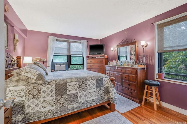 bedroom with multiple windows and wood-type flooring