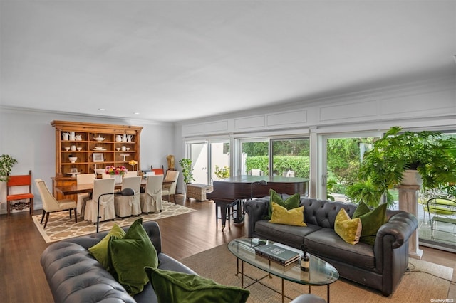 living room with crown molding and wood-type flooring