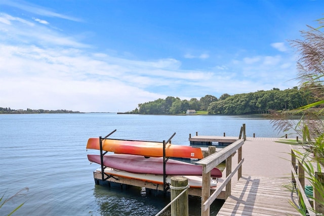 dock area featuring a water view