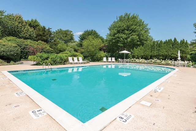 view of swimming pool with a patio