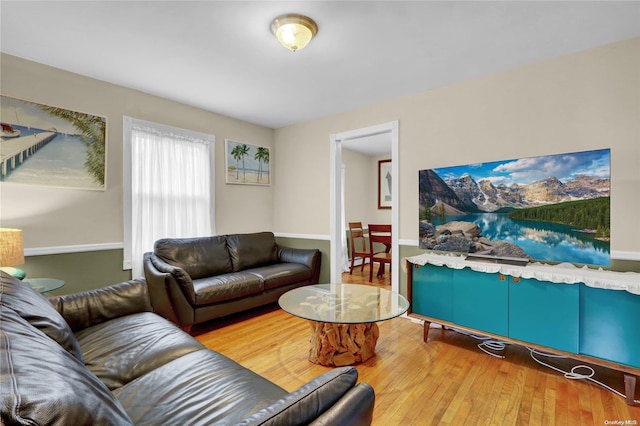 living room with hardwood / wood-style floors