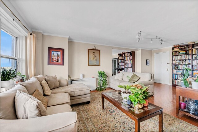 living room with wood-type flooring and ornamental molding