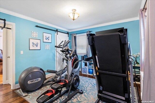 workout room featuring a barn door, crown molding, and dark hardwood / wood-style flooring