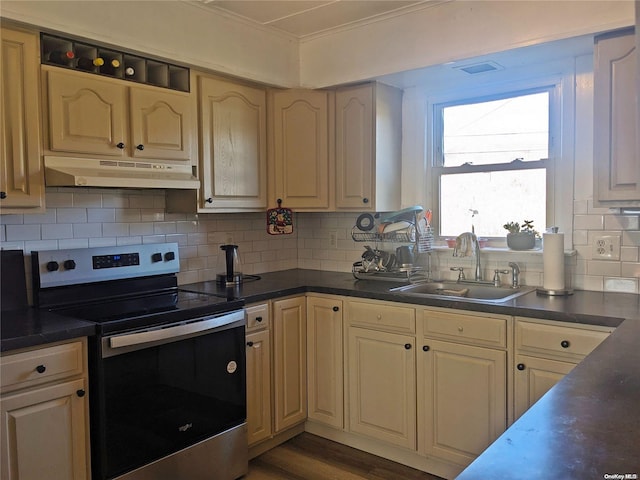 kitchen featuring stainless steel electric range, a sink, decorative backsplash, under cabinet range hood, and dark countertops