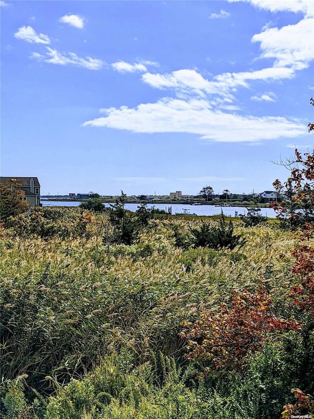 view of water feature