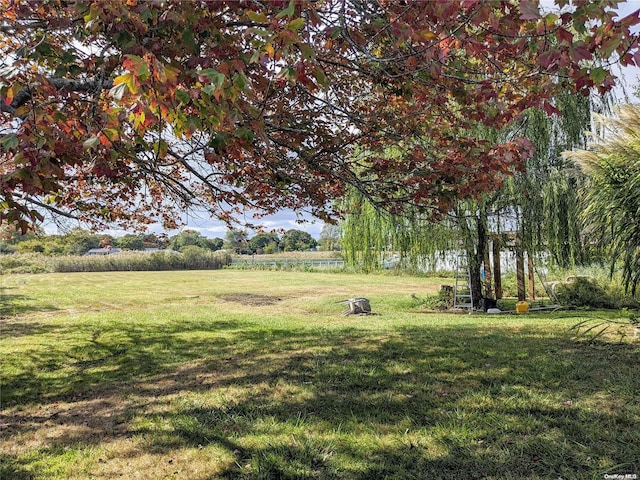 view of yard with a rural view