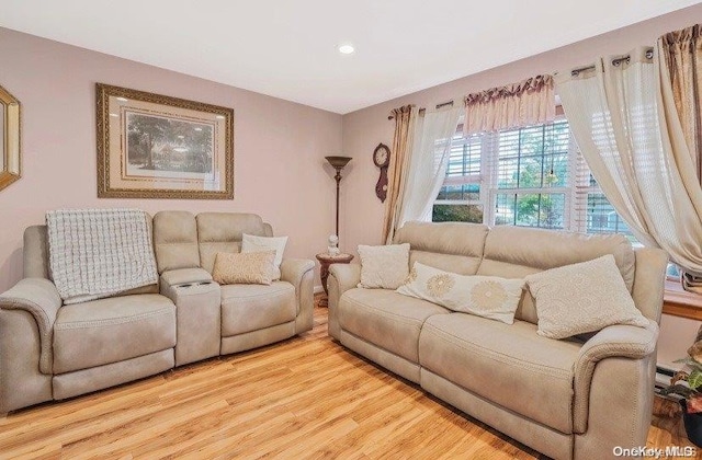 living room featuring light hardwood / wood-style flooring