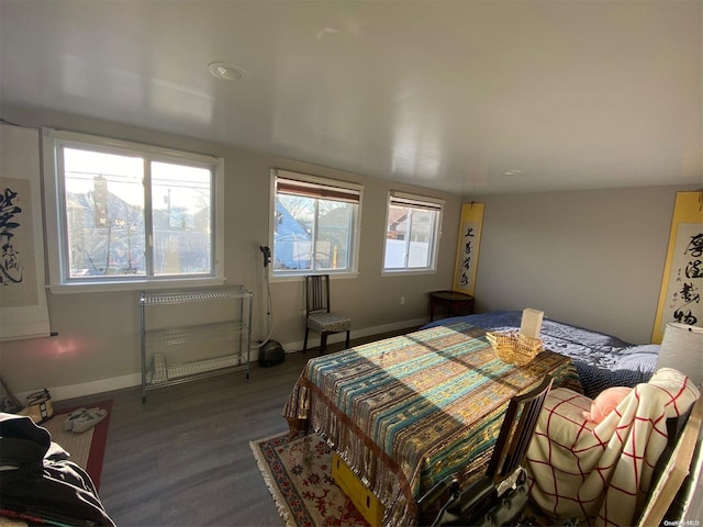 bedroom featuring wood-type flooring