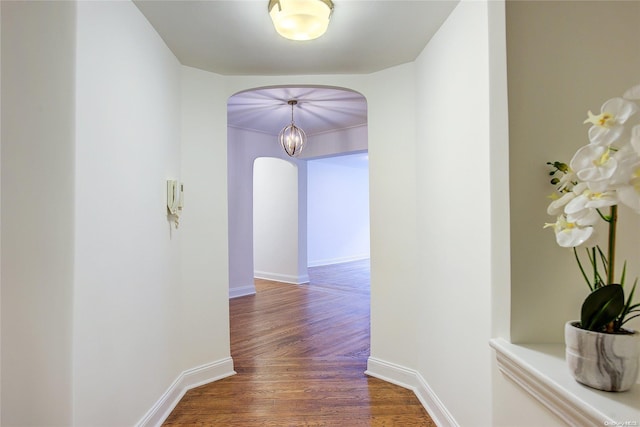 corridor with dark wood-type flooring