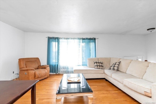 living room featuring hardwood / wood-style flooring