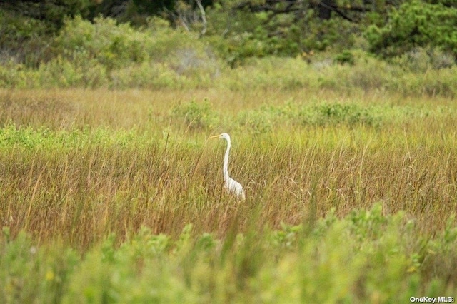 53 Crassen Blvd Unit 31, Amagansett, NY 11930 - photo 15